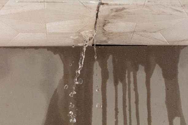 Professional Flood Damage Cleanup technician working in Freeburg, IL